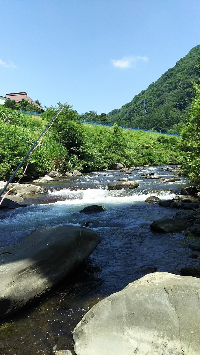 長野県裾花川 爆釣 管理釣り場